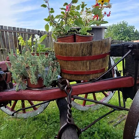 Seosko Domacinstvo Jevtic *