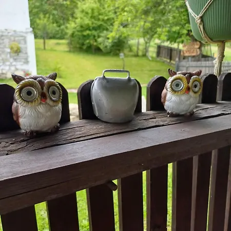 Seosko Domacinstvo Jevtic 아파트 크라구예바츠