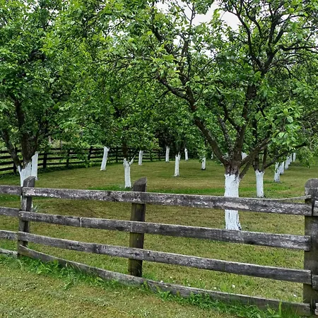 Seosko Domacinstvo Jevtic 아파트