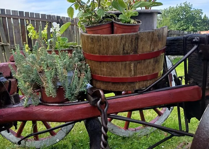 Seosko Domacinstvo Jevtic *