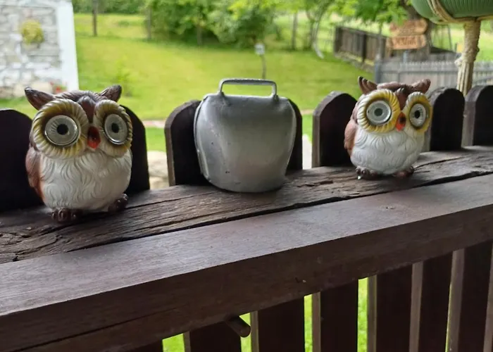 Seosko Domacinstvo Jevtic Apartman Kragujevac