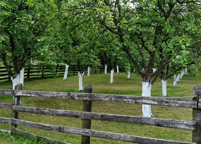 Seosko Domacinstvo Jevtic Apartman