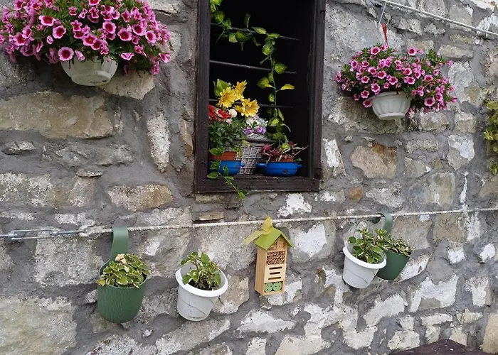 Apartman Seosko Domacinstvo Jevtic