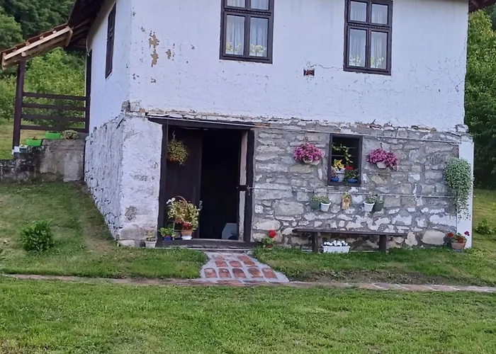 Seosko Domacinstvo Jevtic Kragujevac